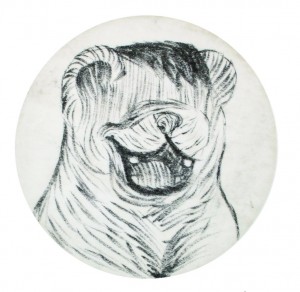 Nikola Jovanovic slepi medved